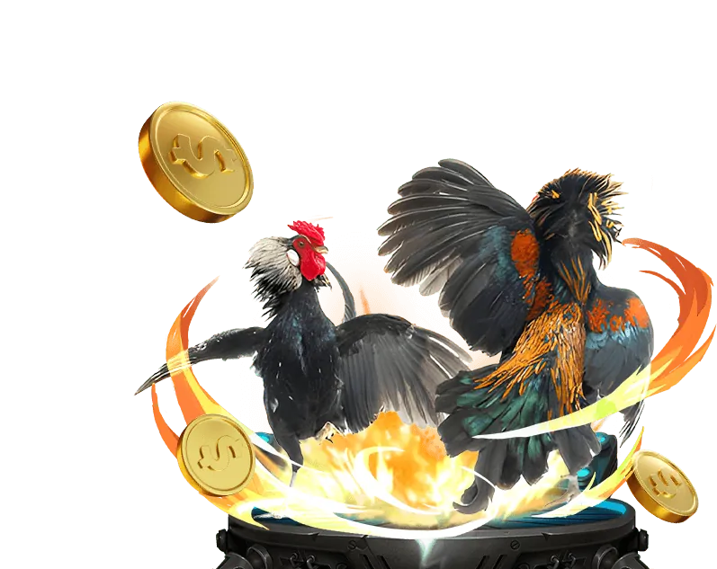 Giao dịch nạp rút nhanh chóng