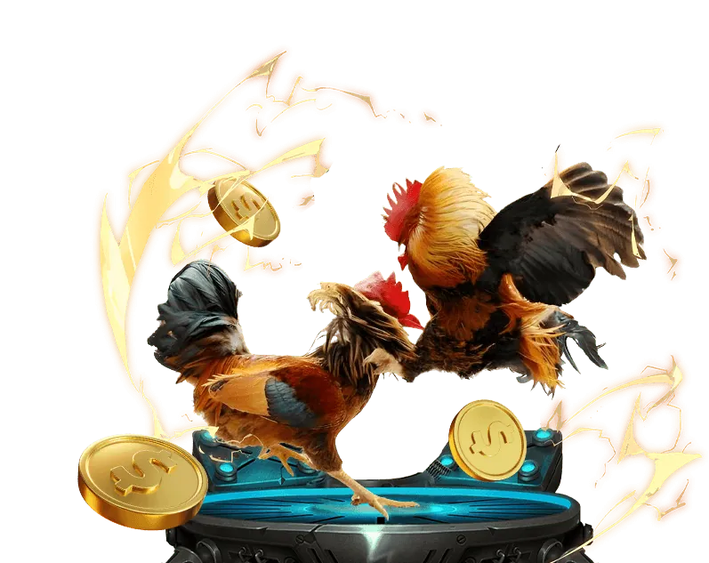 Hình ảnh minh họa các câu hỏi thường gặp về 888to44